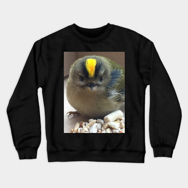 Punk Rock Chick - King of the Birds! My Friend the Goldcrest! Crewneck Sweatshirt by Bucklandcrafts